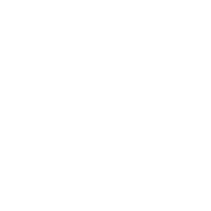 white bug icon with a line through it, symbolizing effective pest elimination