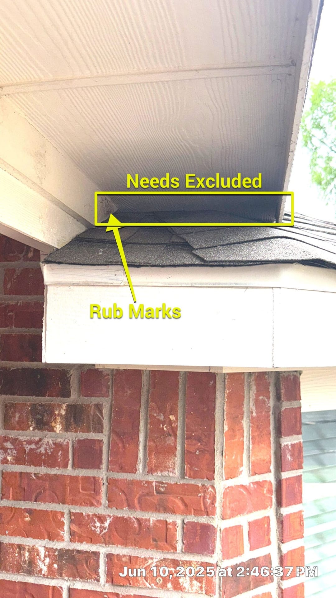 Exclusion needed for gap above shingles with visible rodent rub marks in McKinney, Texas