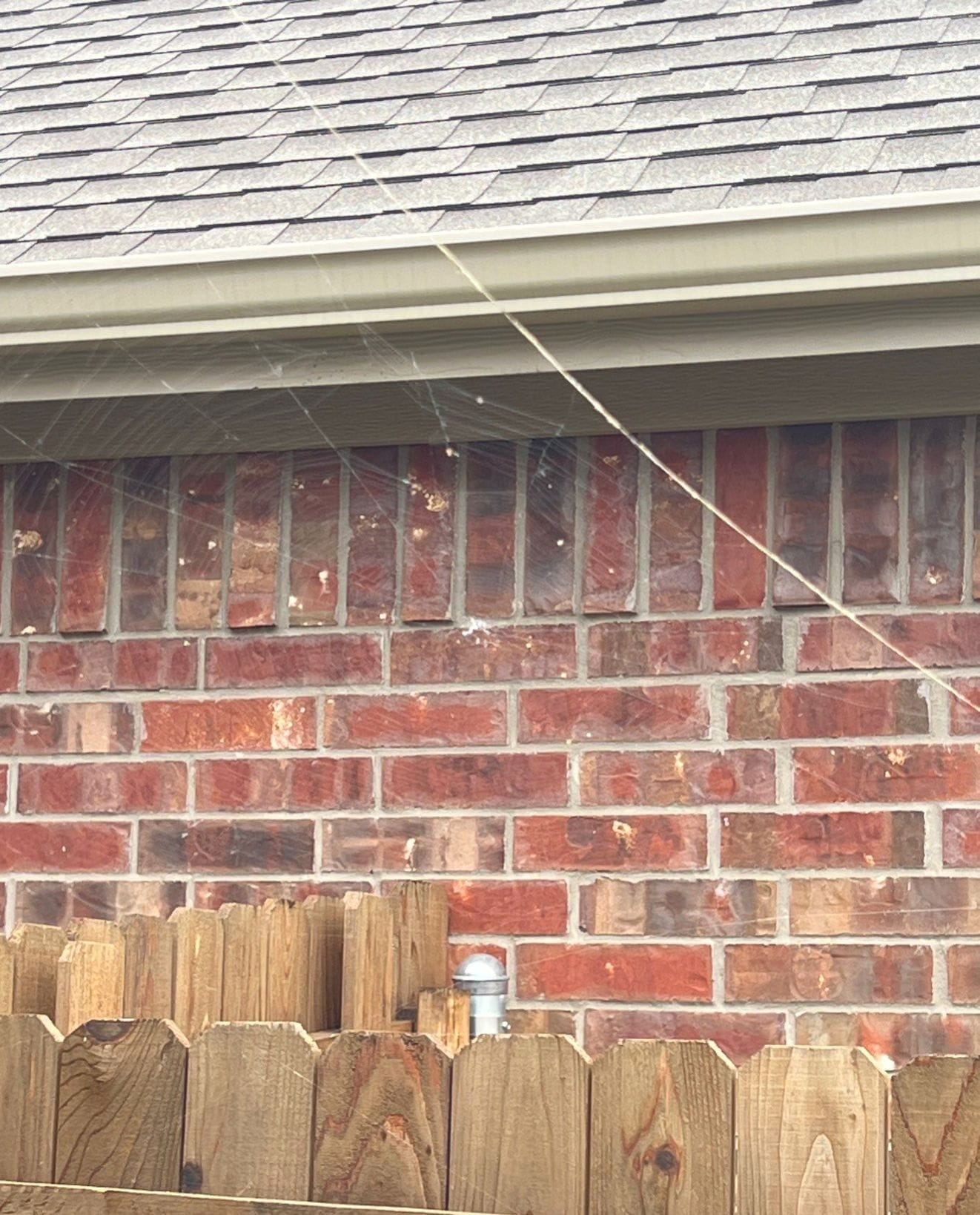 Exclusion webbing patterns near soffit and brick exterior in Princeton