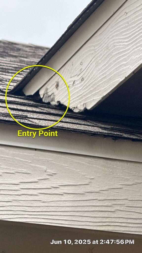 Exclusion gap found near shingle roofline requiring sealing in McKinney.