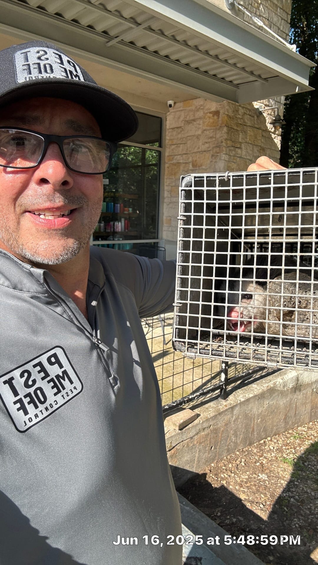 Live opossum safely trapped outside commercial building for humane removal in McKinney.