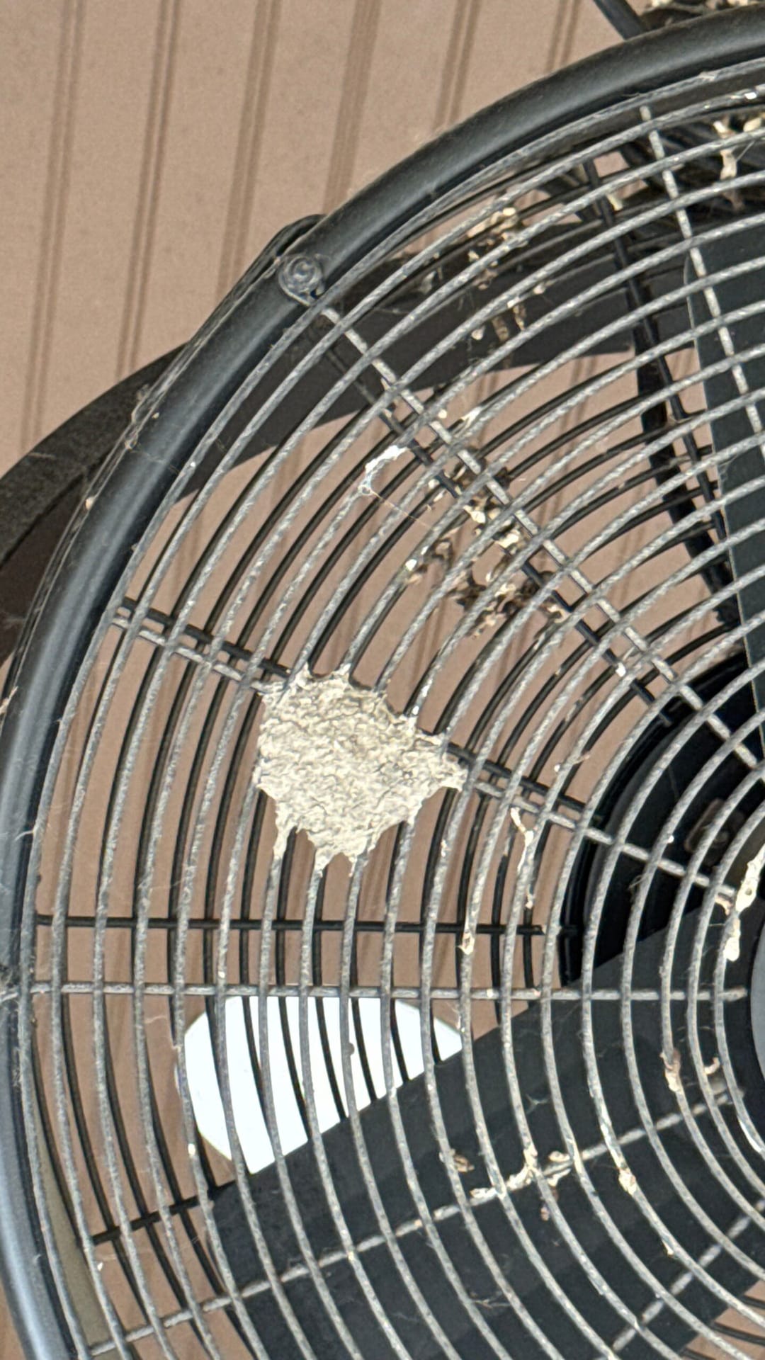 Mud dauber nest found on exterior metal fan guard in Farmersville, Texas, during summer inspection