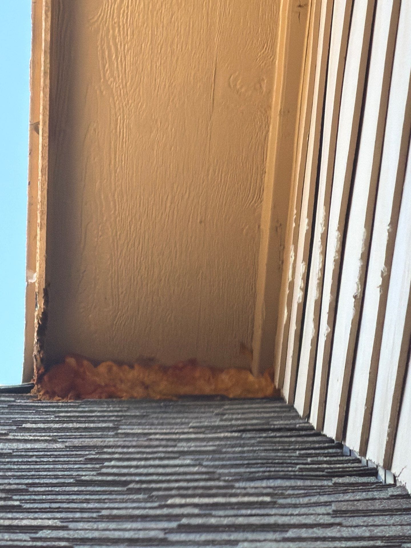 Eave exclusion foam sealing work done to prevent pest entry in Allen