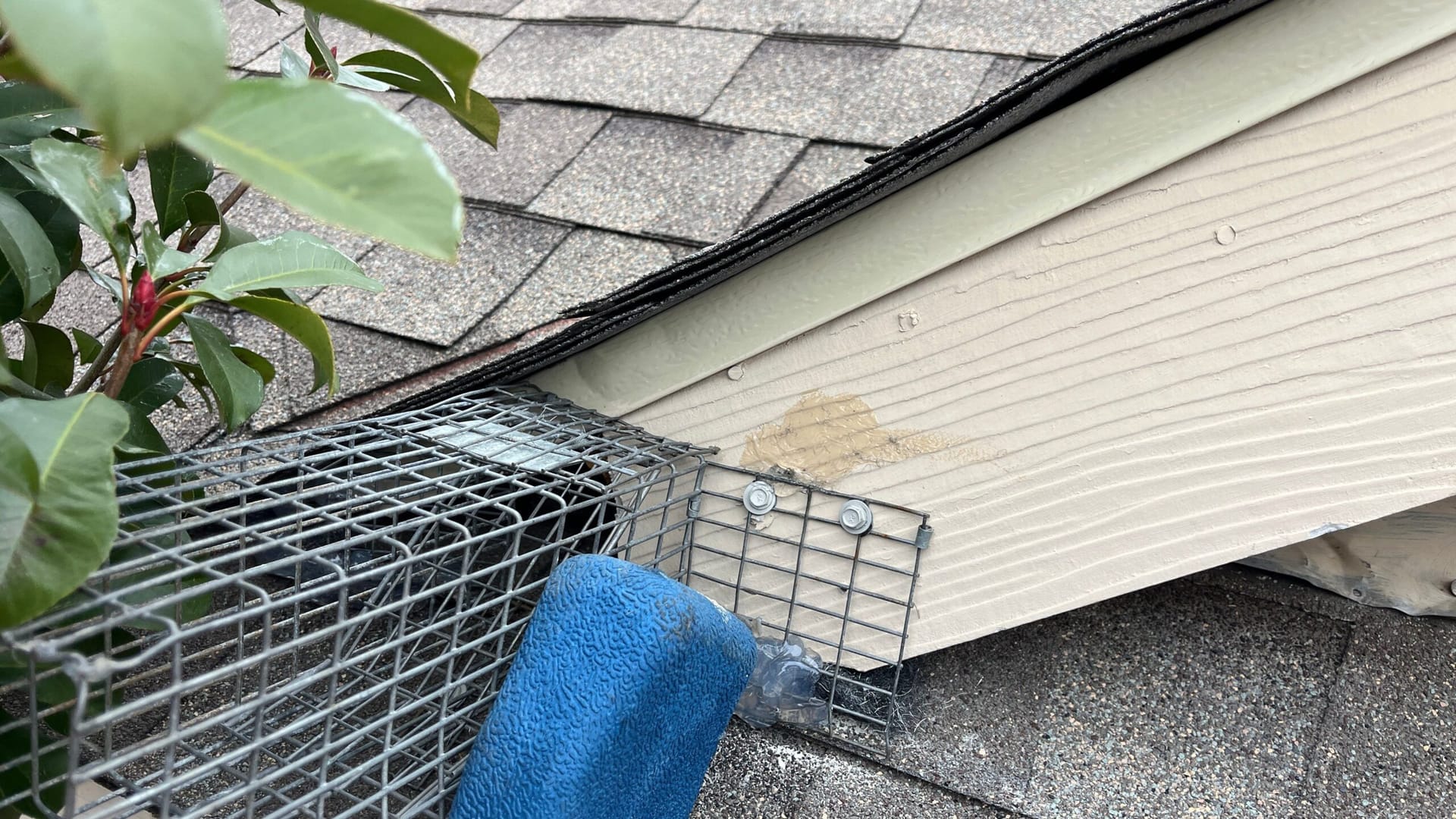 Exclusion mesh installed to block rodent entry into attic area in McKinney