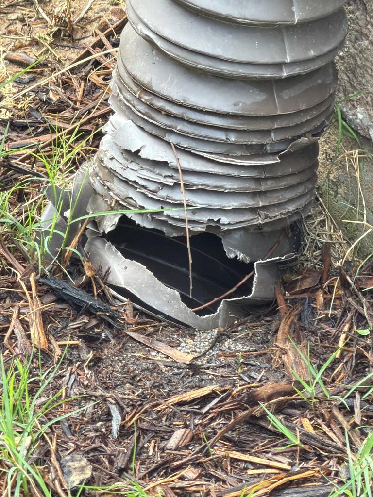 Exclusion work needed to repair a damaged pipe in McKinney, Texas.