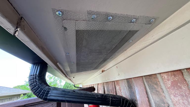 Exclusion work applying mesh under eaves in Carrollton, Texas.