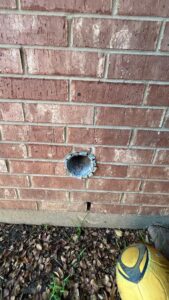 Exclusion work installing rodent proof dryer vent in Carrollton, Texas.