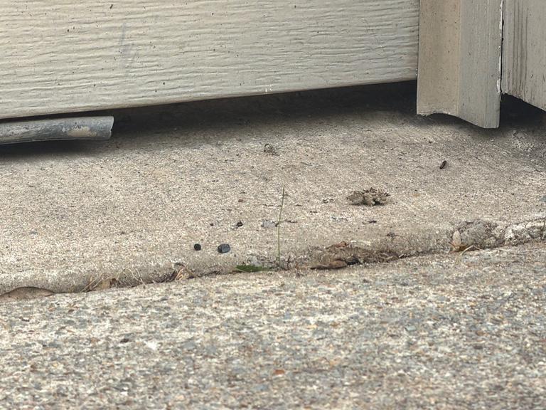 Exclusion work sealing an entry gap at the garage in Allen, Texas.