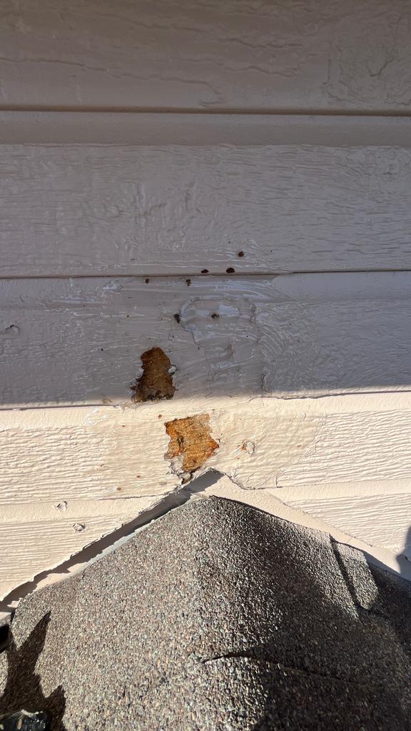 Exclusion work sealing an entry point on the exterior siding of a home in Carrollton, Texas.