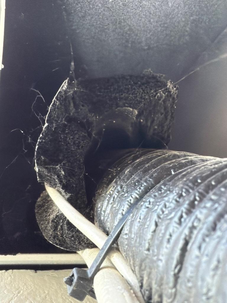 Large gap around an exterior soffit utility penetration with deteriorated foam, identified as a likely rodent access point in McKinney, Texas.