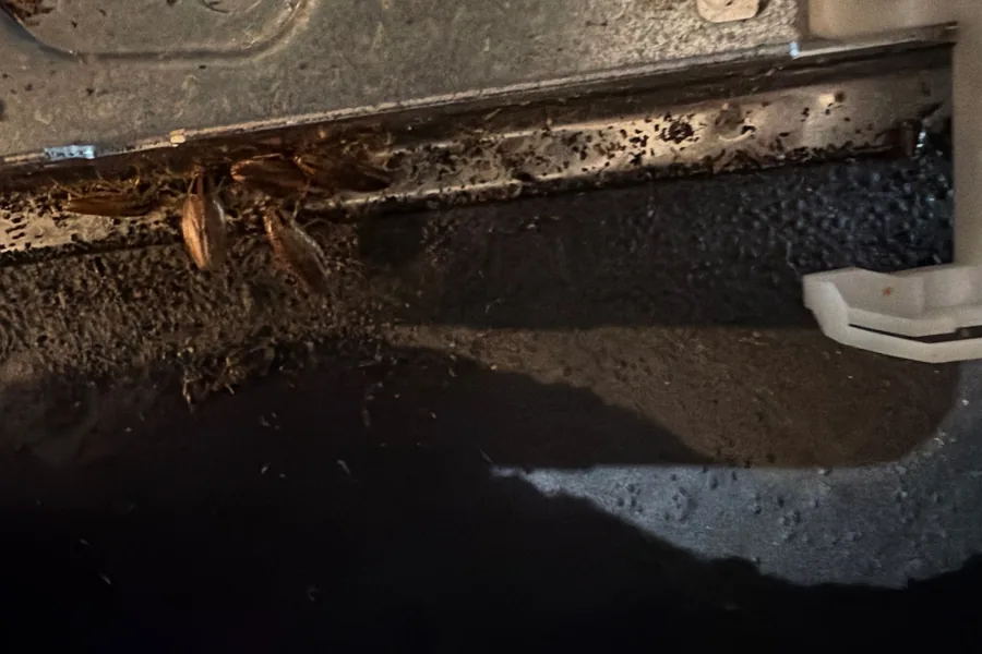 Pest Control Carrollton, TX 14 Cluster of cockroaches under the metal edge of a kitchen appliance on a Pest Me Off job