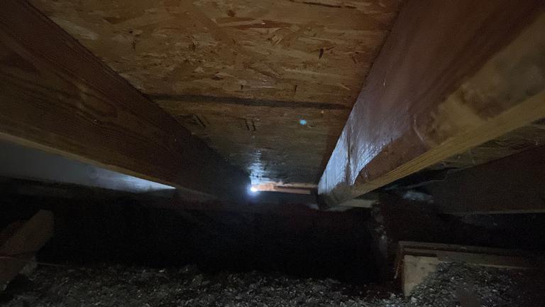 Exclusion sealing in a crawl space of a home in Frisco, Texas.