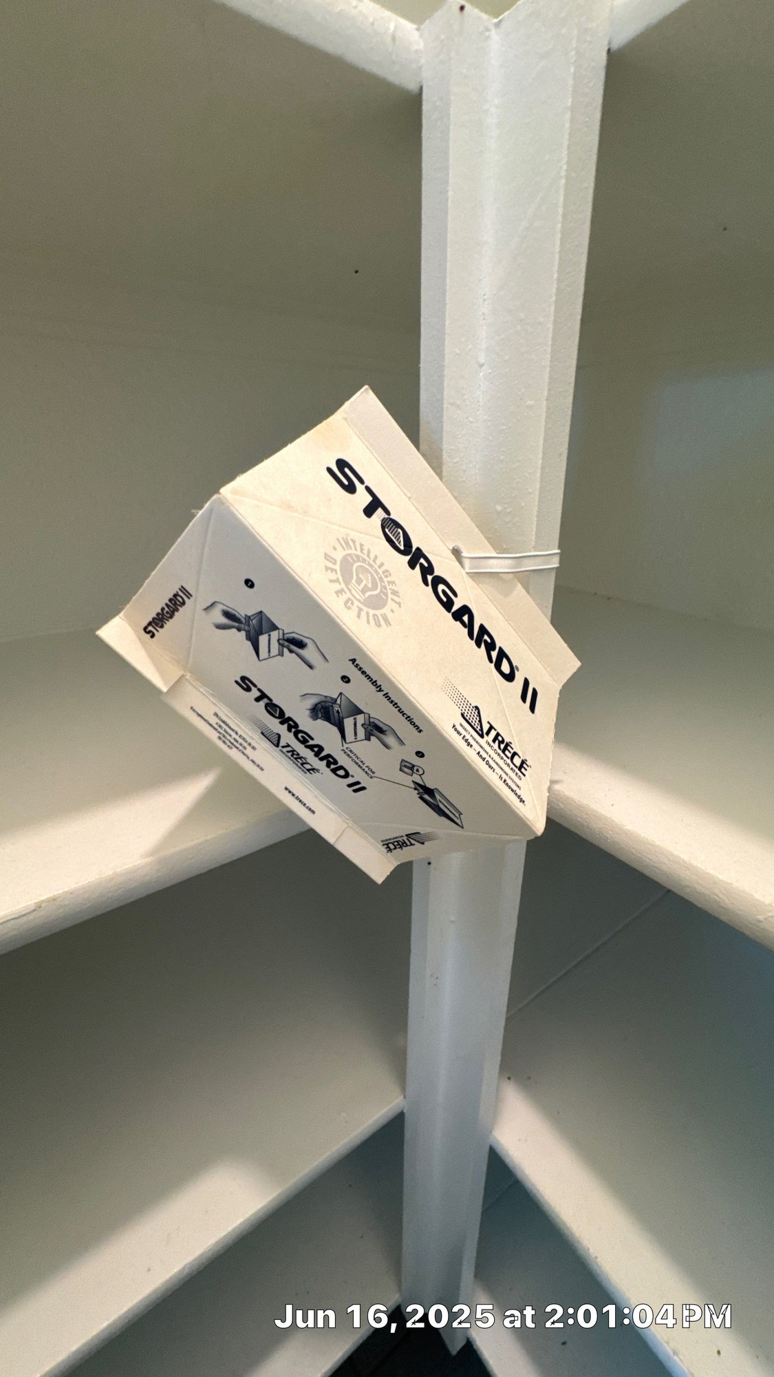 Pantry moth pheromone trap hanging on a kitchen shelf during a Pest Me Off job in McKinney TX, June 2025