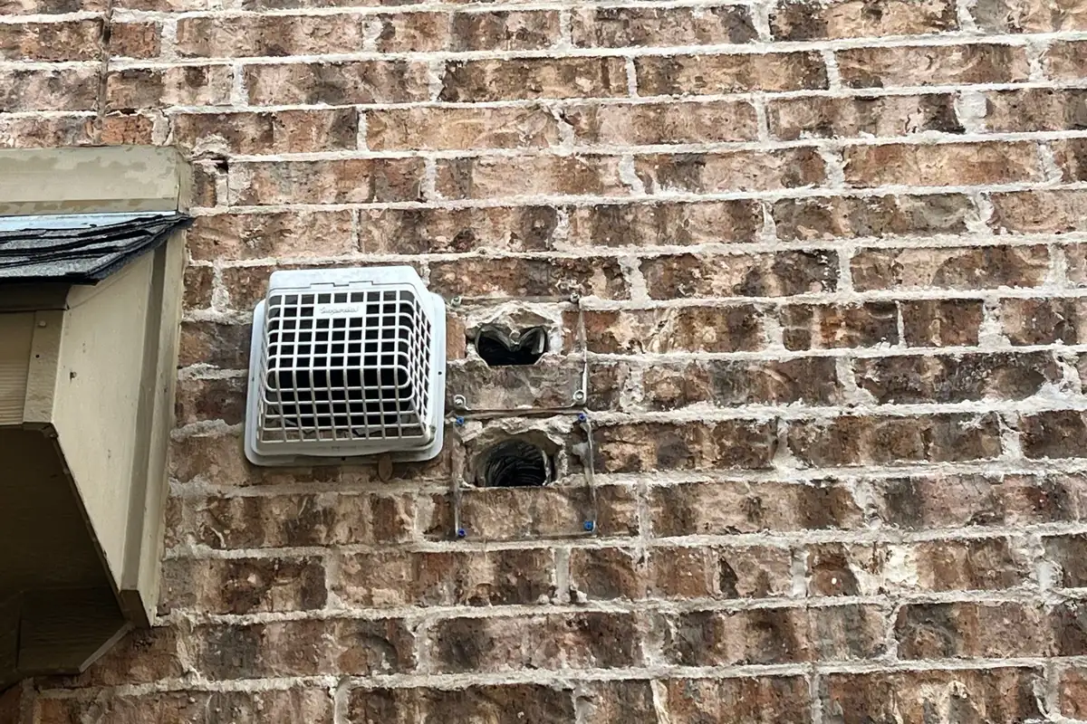 Dryer vent and open weep holes in brick, common rodent entry points, on a Pest Me Off job