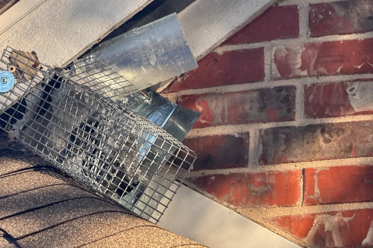 Pest Control Prosper, TX 16 Metal mesh screen fitted into a roof-to-brick corner on a Pest Me Off exclusion job in Prosper, TX