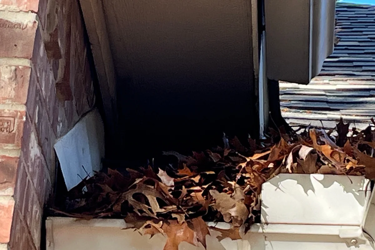 Roofline gap where the soffit meets brick, a rodent entry point, on a Pest Me Off job