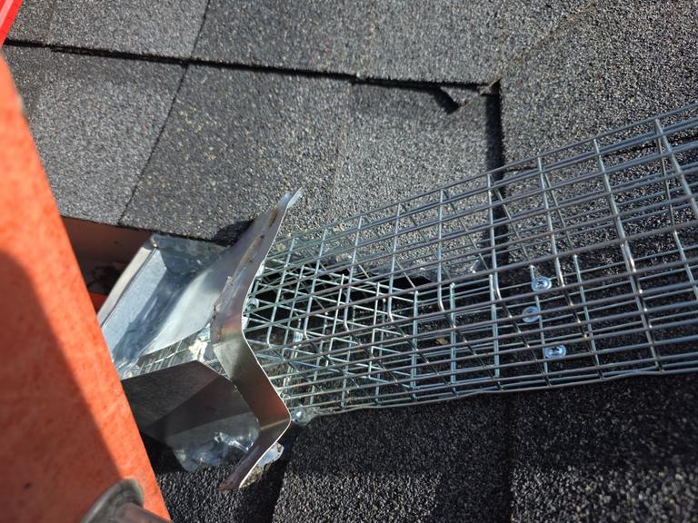Exclusion work involving wire mesh installation on a roof in Frisco, Texas.