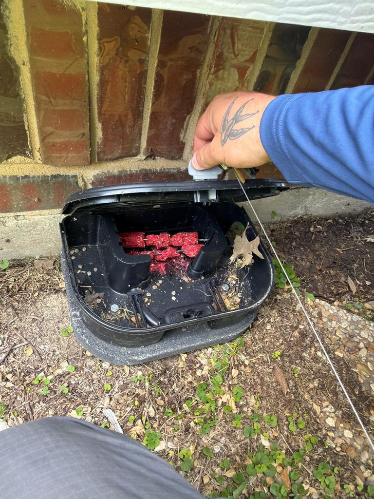 Technician services an exterior rodent bait station with red block bait along a brick foundation at a residential property in McKinney, Texas.