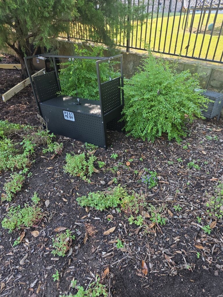A black branded Pest Me Off metal bait station set in a mulched garden bed near a shrub, a cedar tree, and a black metal fence in a backyard.