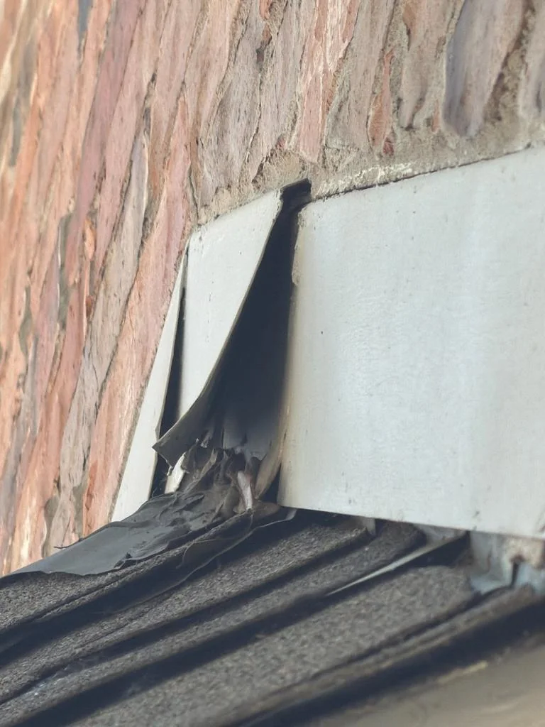 Roofline gap capped with metal flashing on a Pest Me Off rodent proofing job in McKinney TX