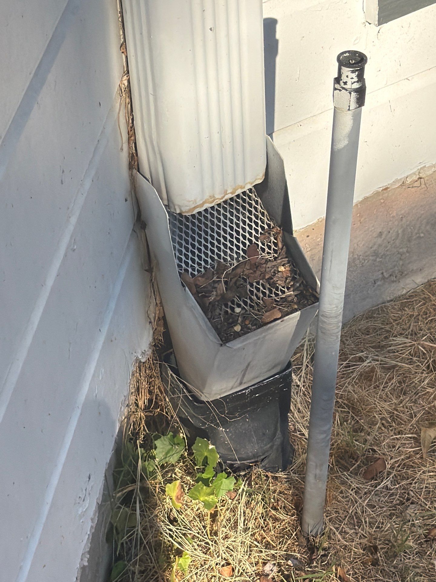 White downspout feeding into a metal drain box with a mesh leaf filter full of dry leaves, connected to a black underground drain pipe at the base of a white foundation wall, with an open gap along the wall corner, dry grass and a small green plant.