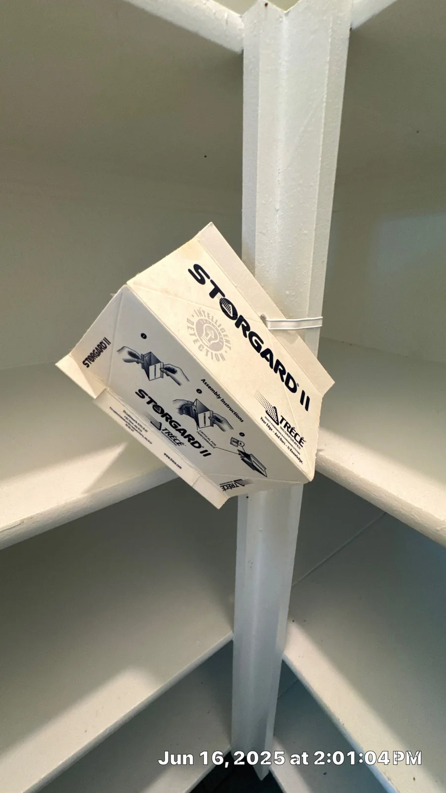 Pantry moth pheromone trap hanging on a kitchen shelf during a Pest Me Off job in McKinney TX, June 2025