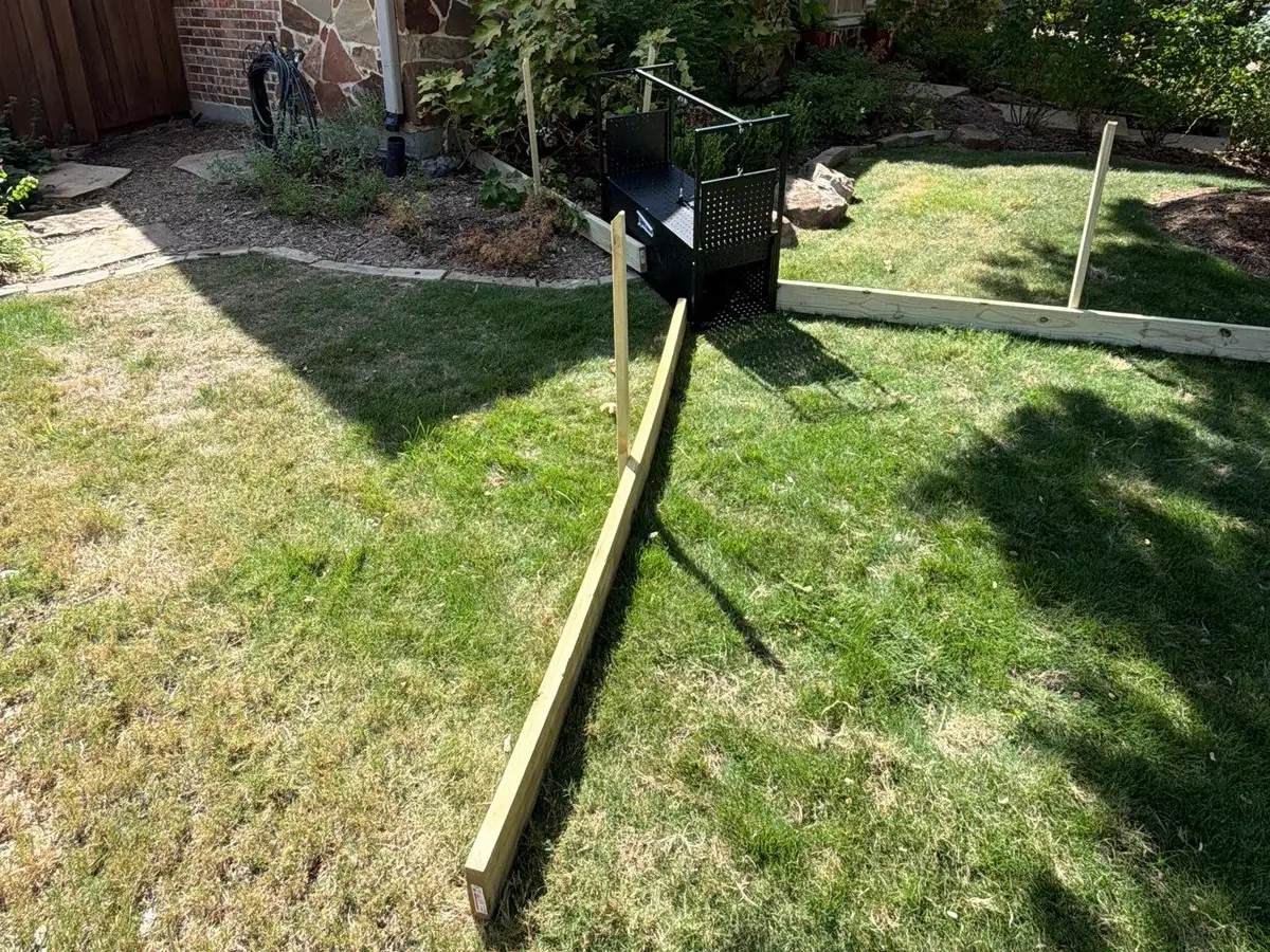 Two boards staked across a lawn leading toward a black cage trap at the edge of a front flower bed