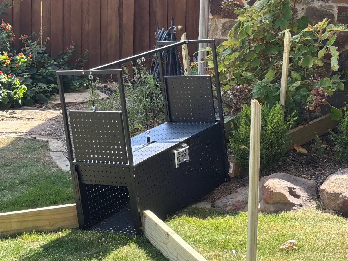 Black two-door wildlife cage trap with both doors raised, set at the edge of a flower bed with a board staked in front of it